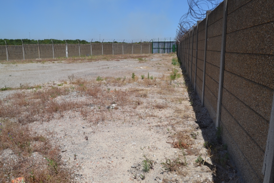 To Let commercial Property for Rent in Parow Industrial Western Cape